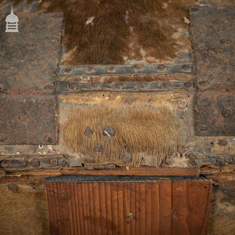 19th C Wooden Trunk covered in Hide with Metal Strapping, Studs and E.V Monogram on Lid