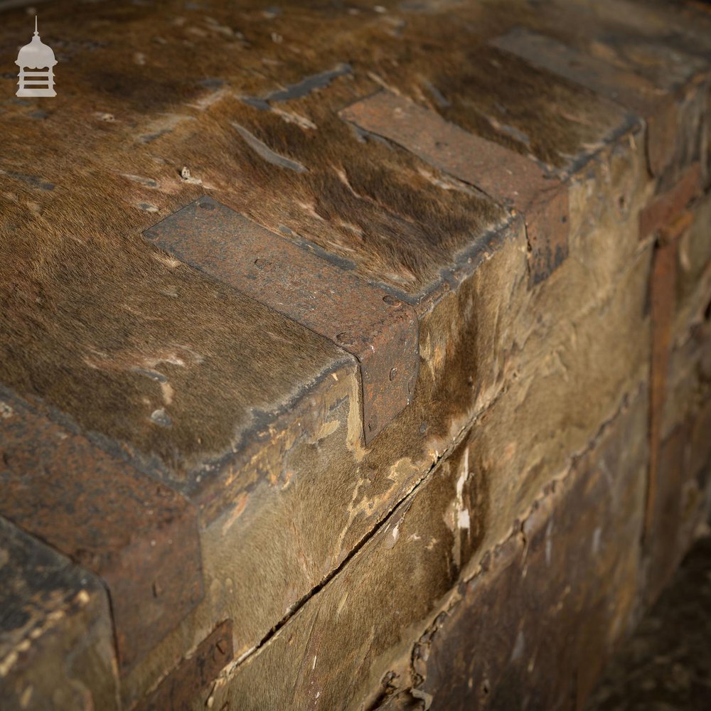 19th C Wooden Trunk covered in Hide with Metal Strapping, Studs and E.V Monogram on Lid