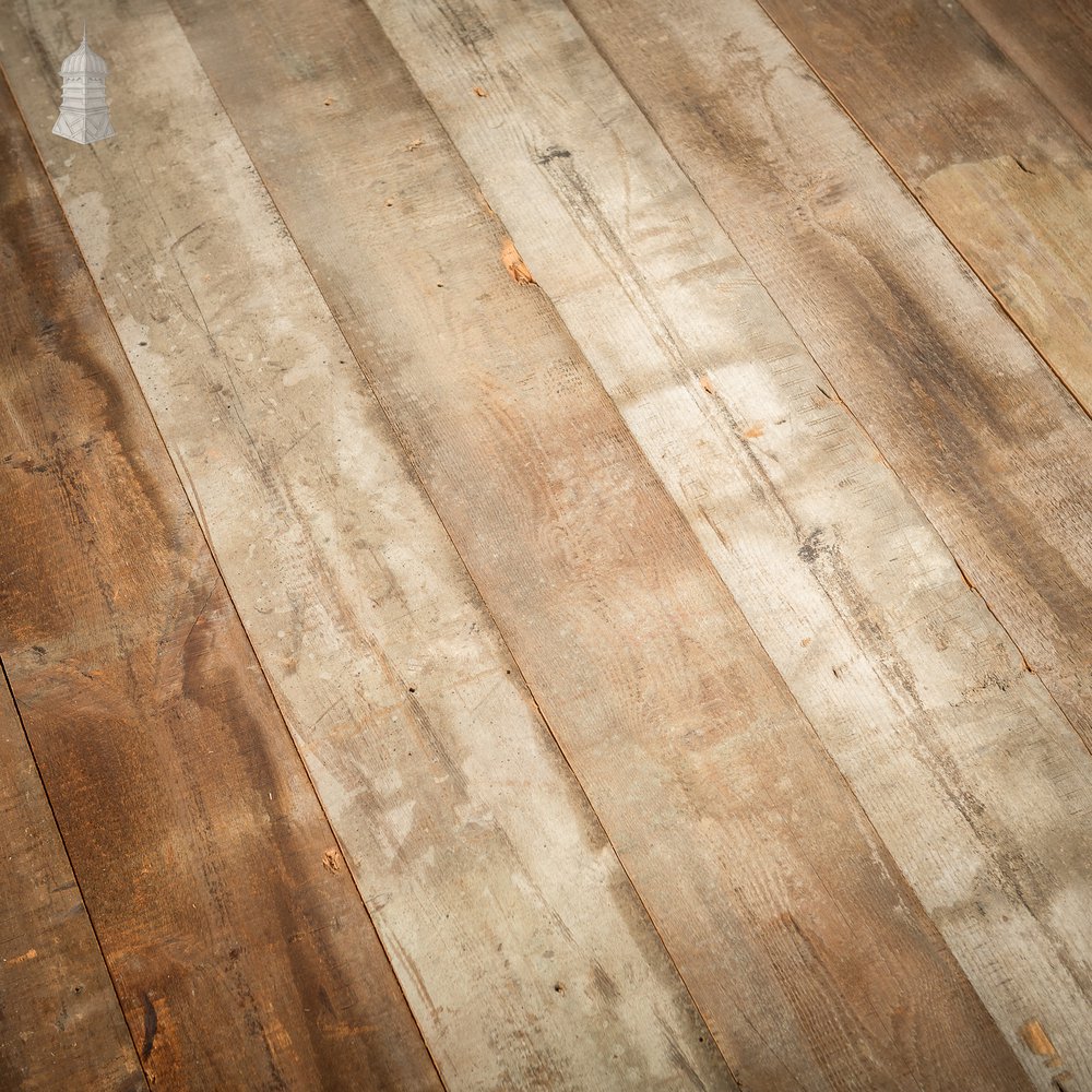 Batch of 22 Square Metres of 7" Wide Oxidized Pine Floorboards Cut from Floor Joists Salvaged From Norwich Castle