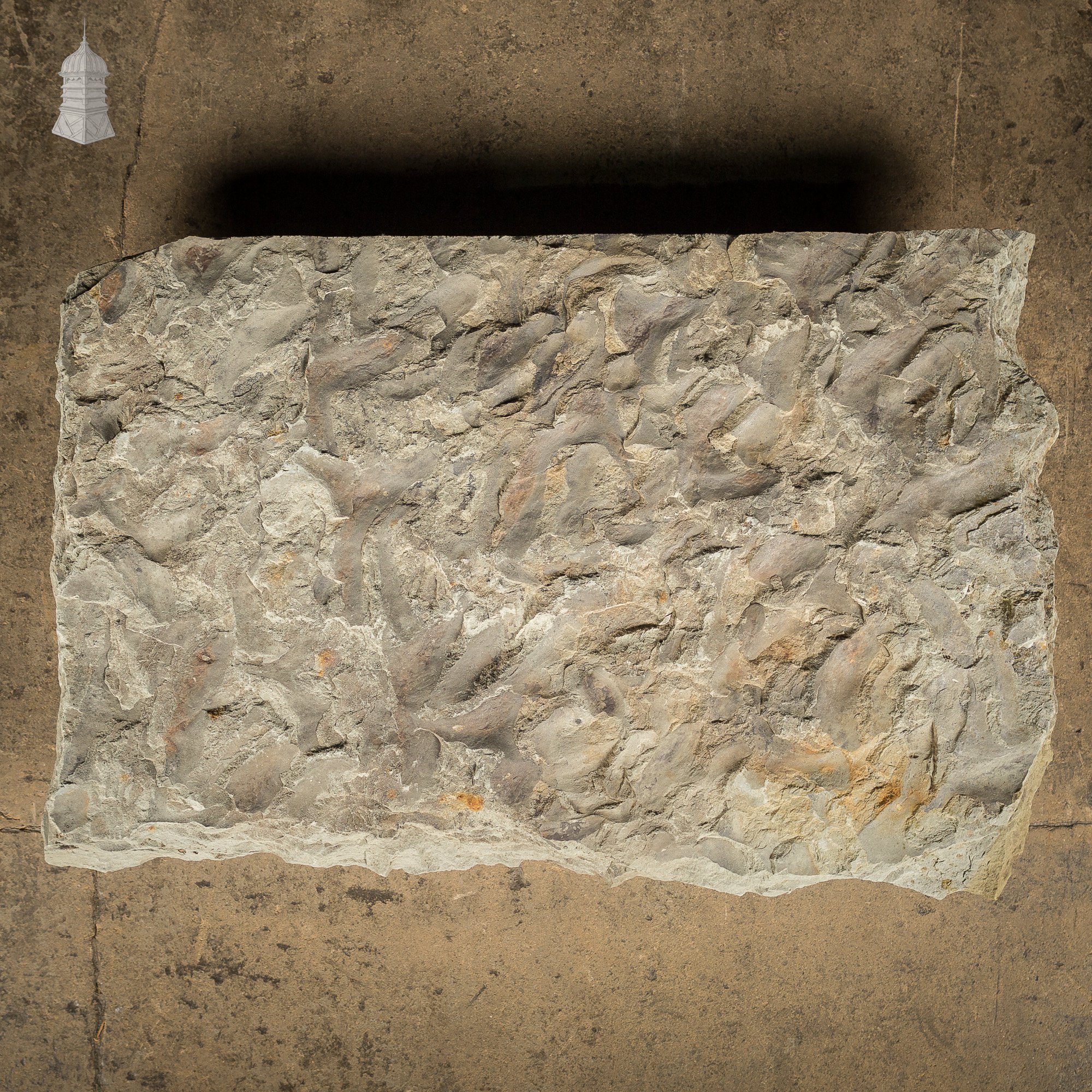 Large Riven Flagstone [No. 1] | Norfolk Reclamation