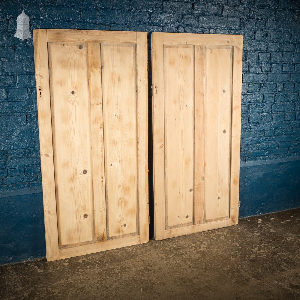 Pair of 19th C Pine Cupboard Doors