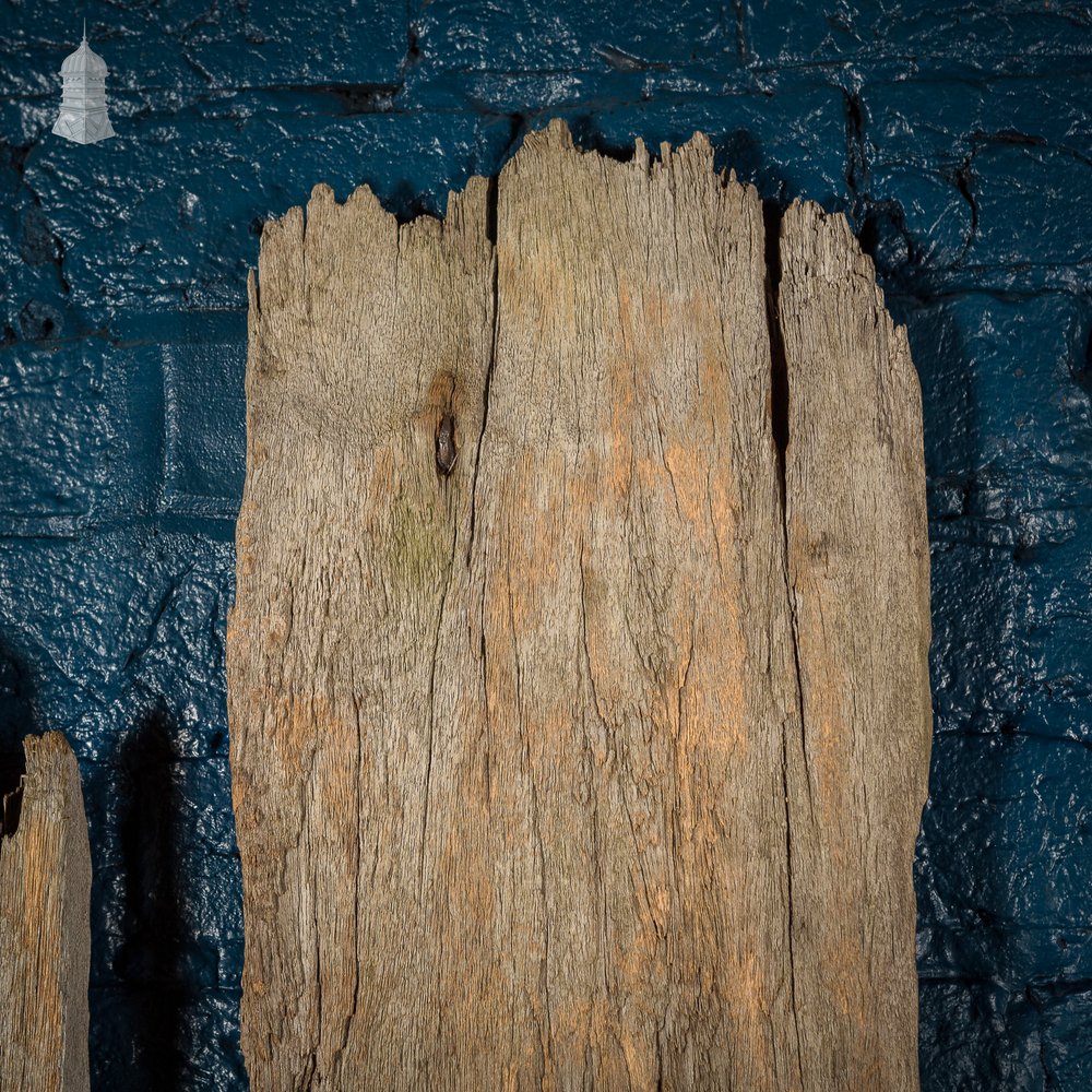 Large Batch of Worn Rustic Hardwood Pilings