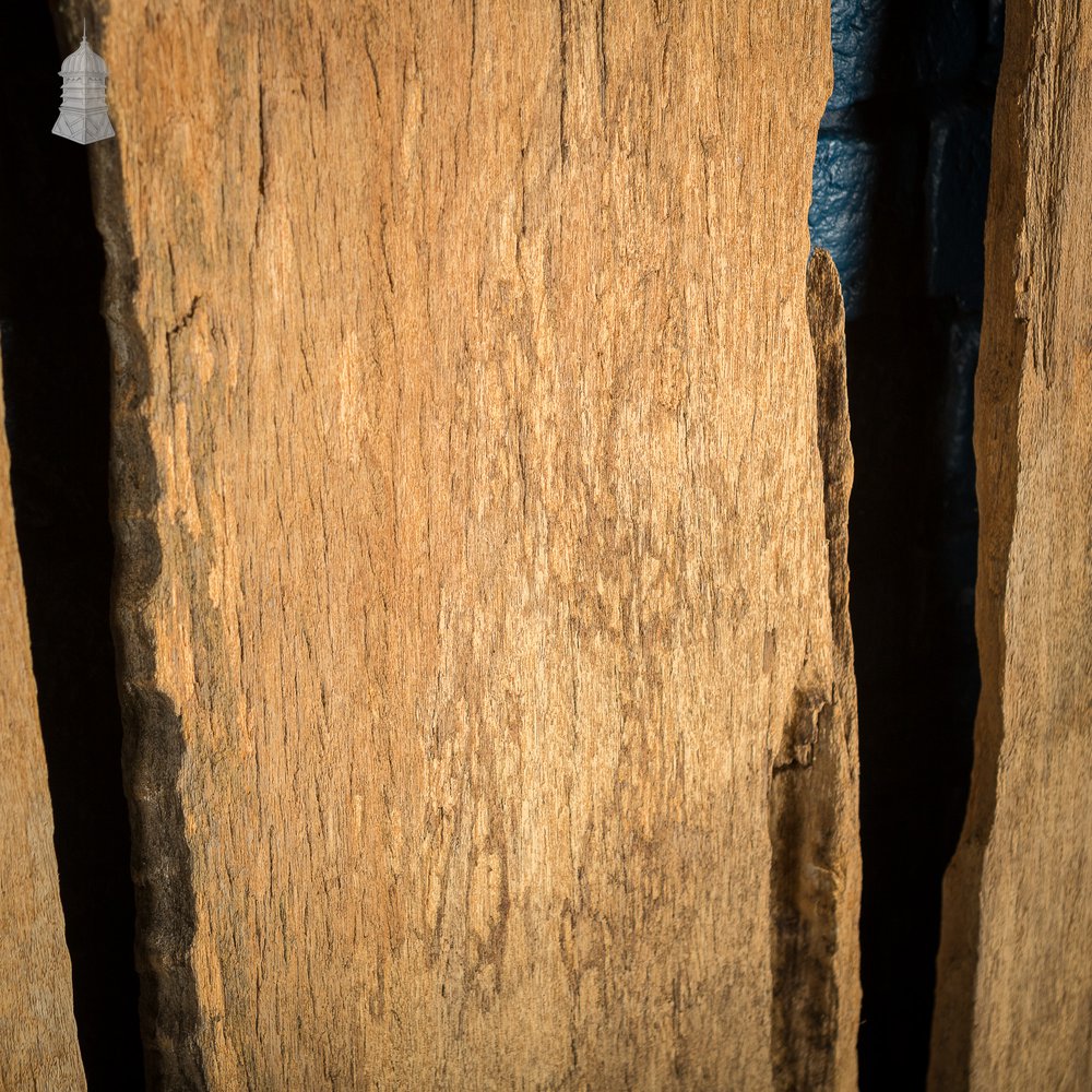 Large Batch of Worn Rustic Hardwood Pilings