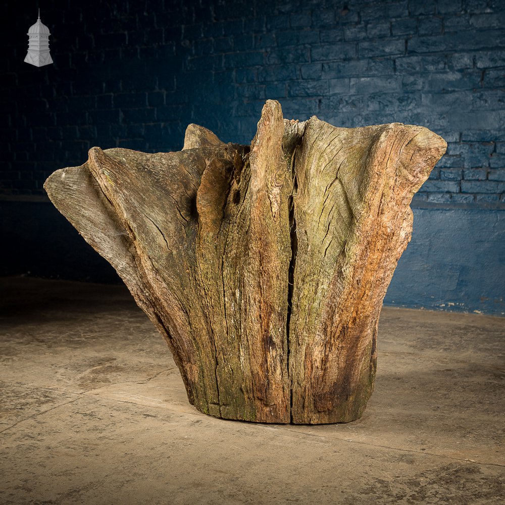 Ancient Sculptural Tree Stump Root Ball [No. 2]