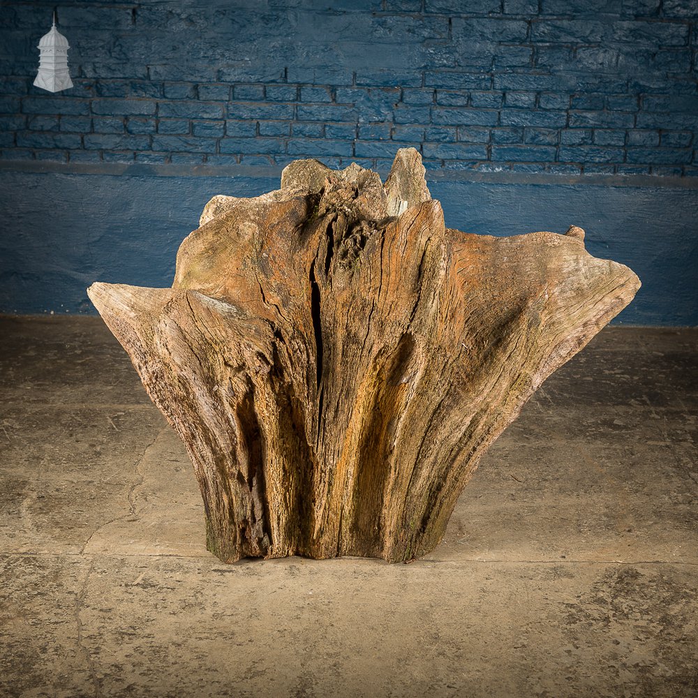 Ancient Sculptural Tree Stump Root Ball [No. 2]