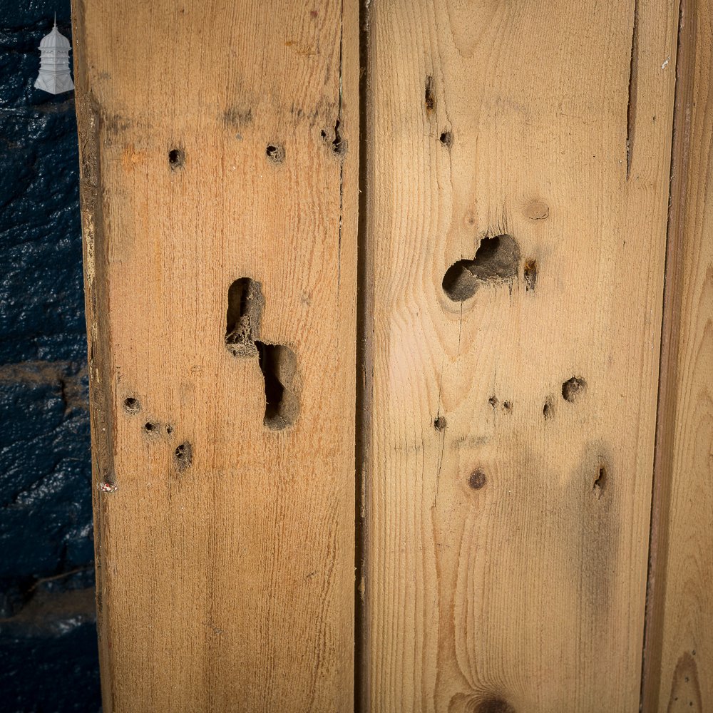 Stripped Internal Paneled Door