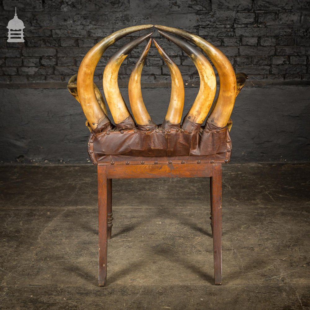 19th C Longhorn Steer Throne Chair with Turned Oak Legs