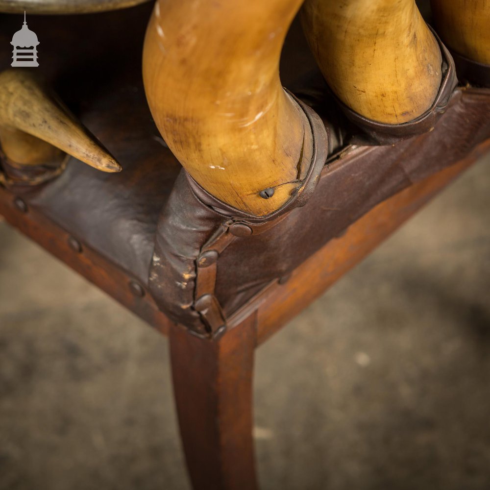 19th C Longhorn Steer Throne Chair with Turned Oak Legs