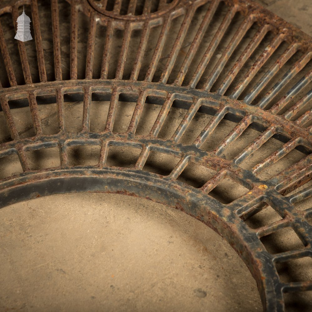 Pavement Root Guard for Trees, Cast Iron