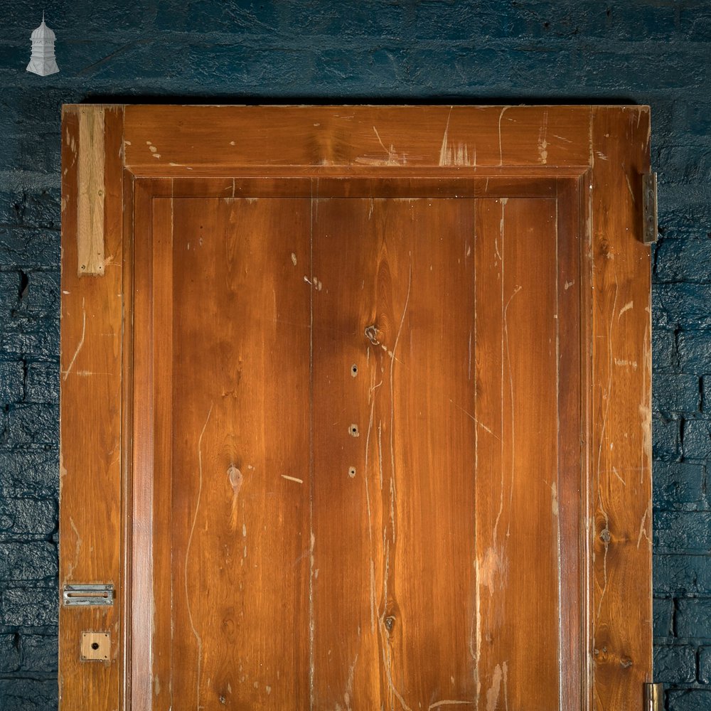 Panelled Door, 19th C Moulded 2 Panel