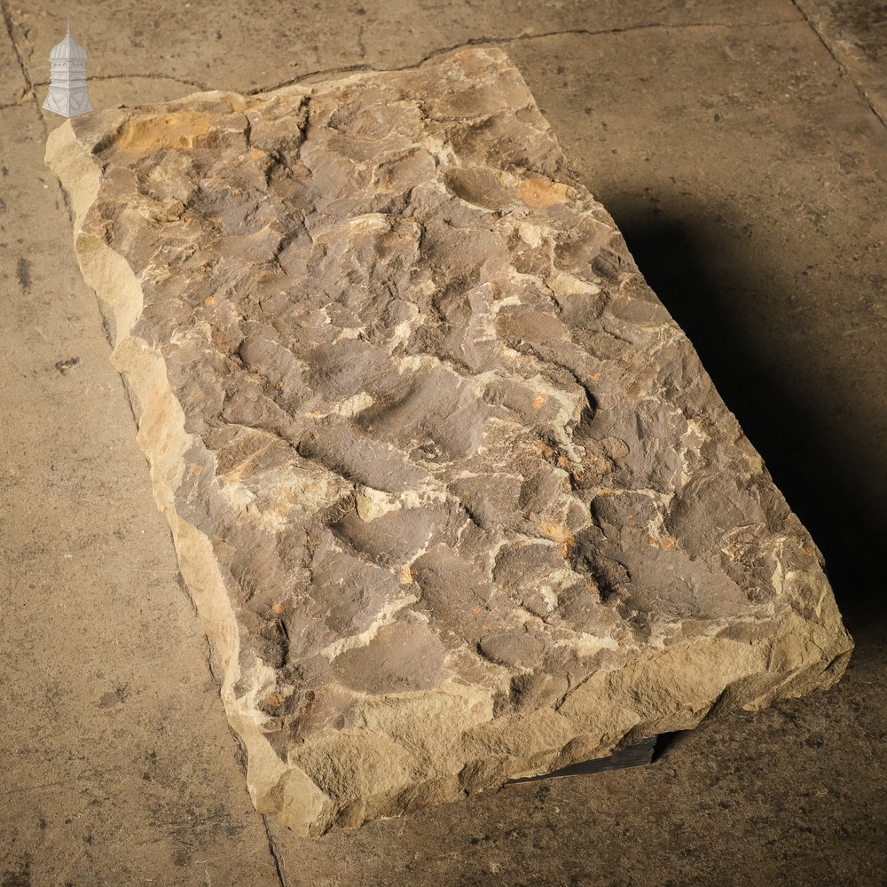 Weathered Riven Flagstone 88cm x 51cm