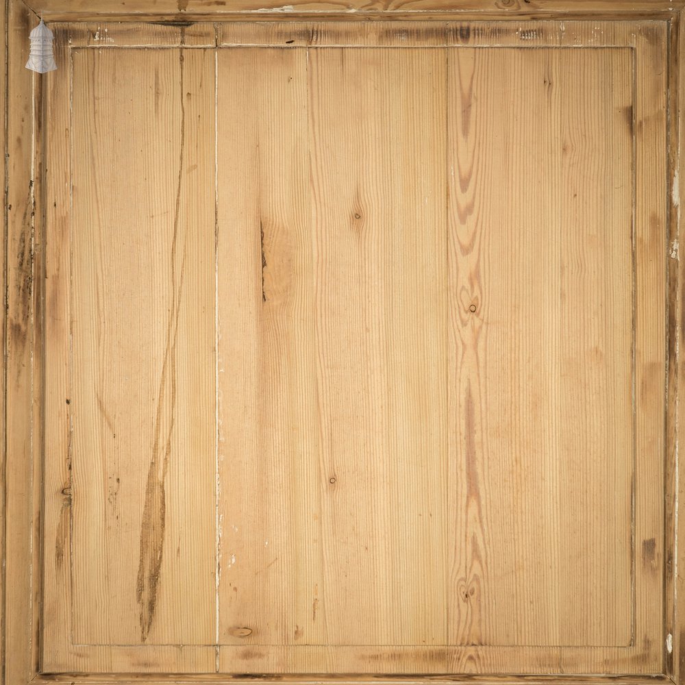 Pine Paneled Door, Moulded 2 Panel