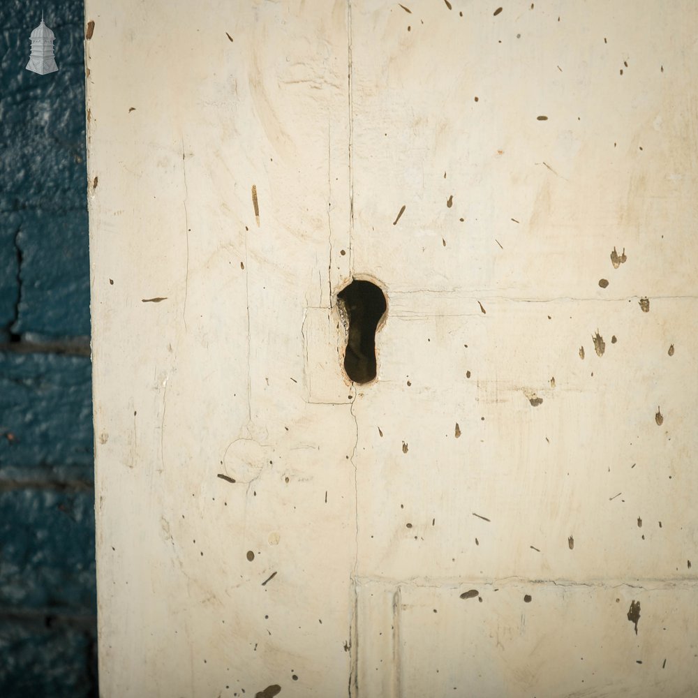 Pine Panelled Door, White Painted