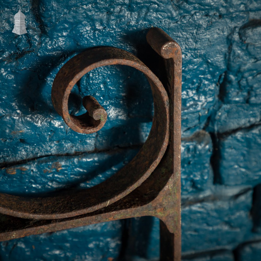 Scrollwork Garden Gate, 19th C Wrought Iron Gate