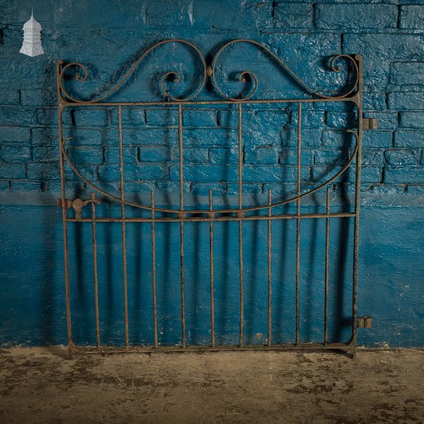 Scrollwork Garden Gate, 19th C Wrought Iron Gate