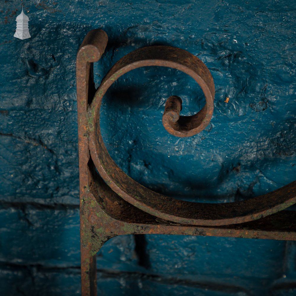 Scrollwork Garden Gate, 19th C Wrought Iron Gate