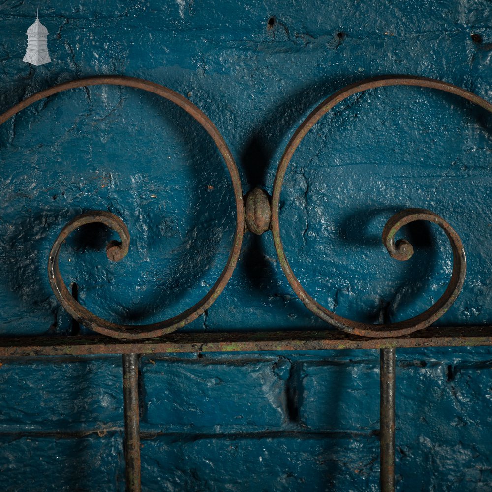 Scrollwork Garden Gate, 19th C Wrought Iron Gate