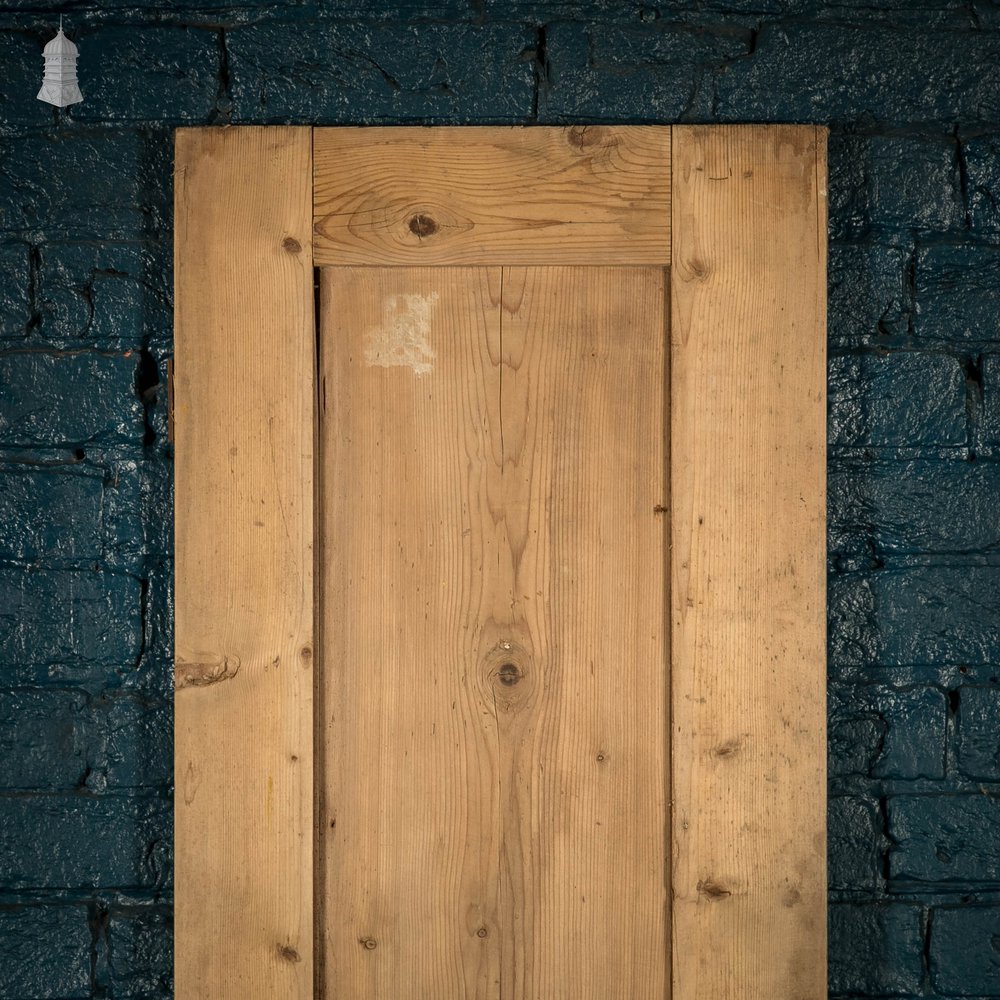 Pine Paneled Door, 2 moulded panel