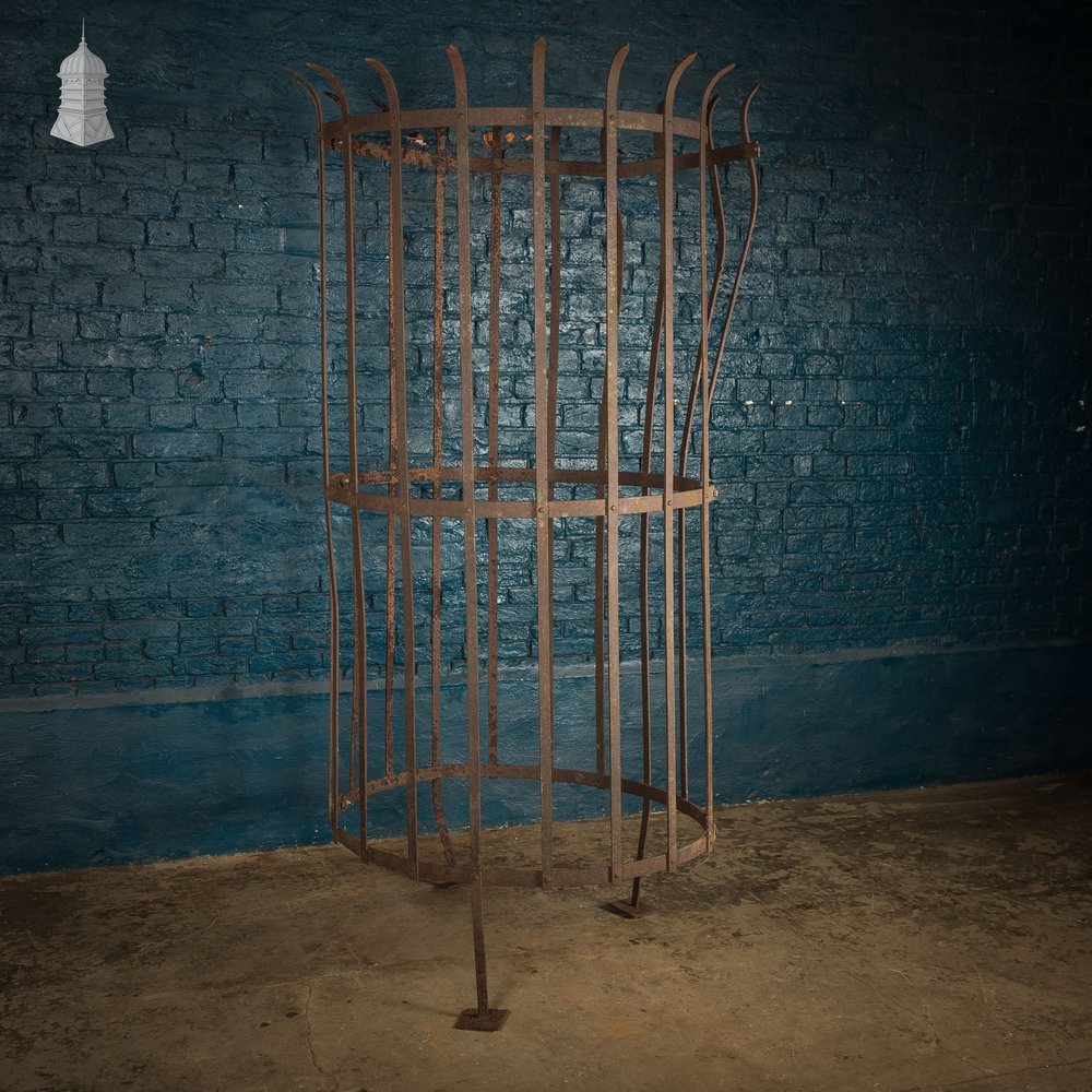 Tree Guard, Wrought Iron