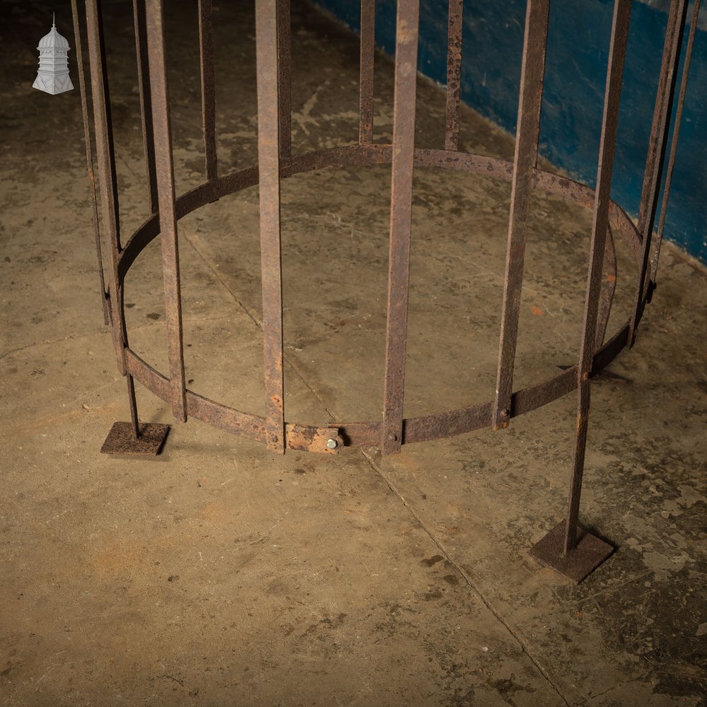 Tree Guard, Wrought Iron