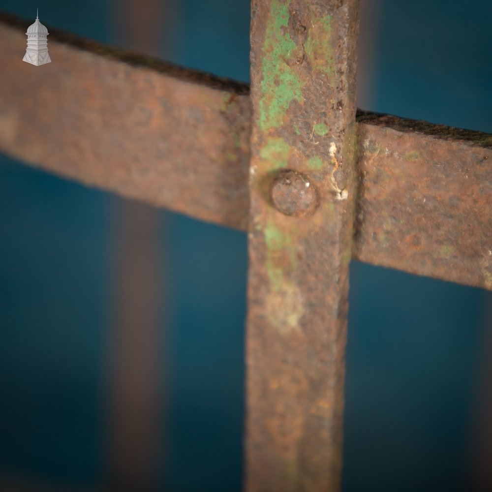 Tree Guard, Wrought Iron