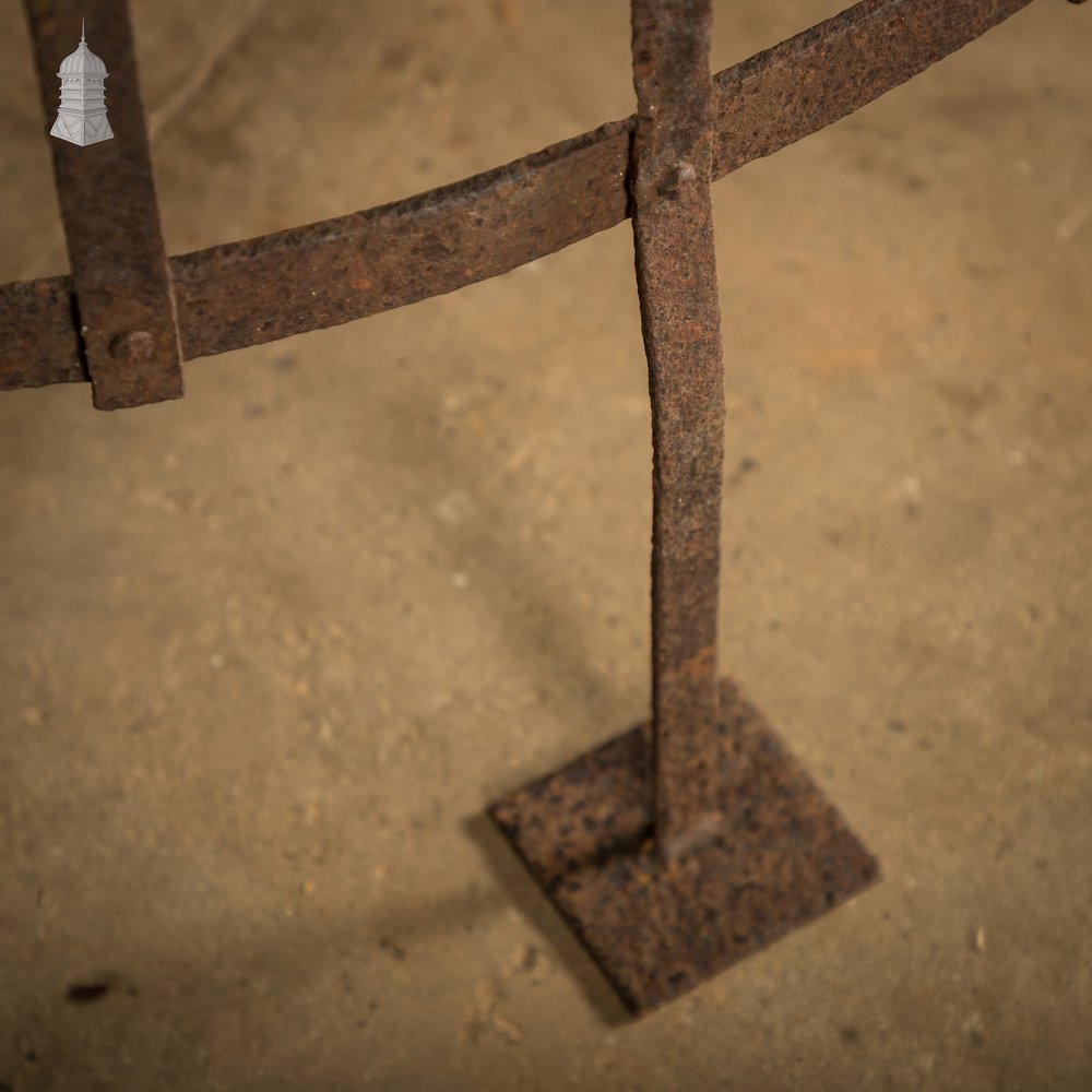 Tree Guard, Wrought Iron