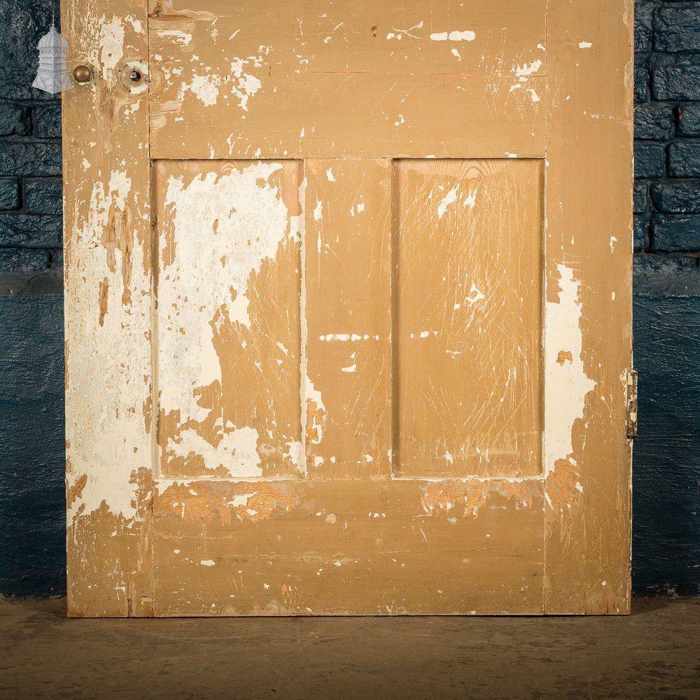 6 Panel Door, Distressed Paint