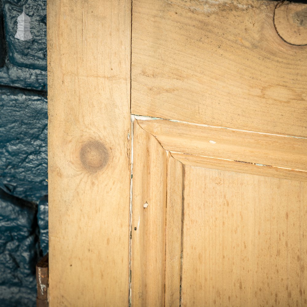 Pair of Small 19th C Stripped Pine Moulded Panel Cupboard Doors