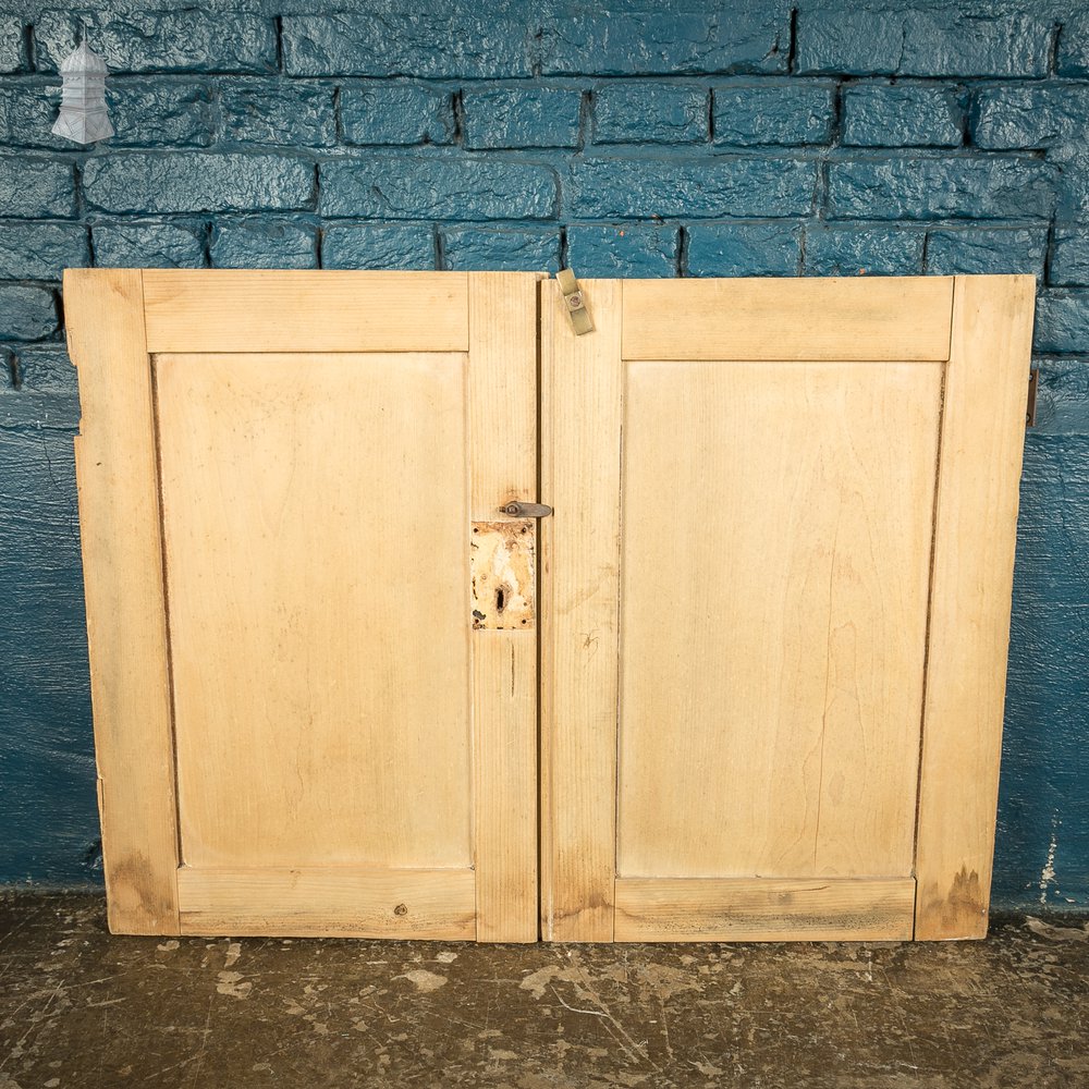 Pair of Small 19th C Stripped Pine Cupboard Doors with Moulded Panels & Beaded Hinge Rails