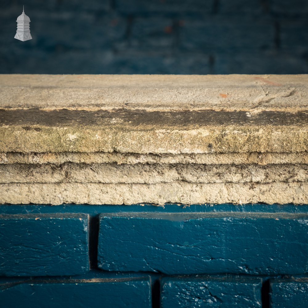 Once-weathered Stone Coping - A Run of 17 Metres