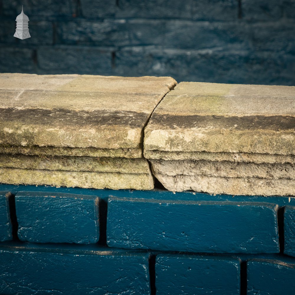 Once-weathered Stone Coping - A Run of 17 Metres