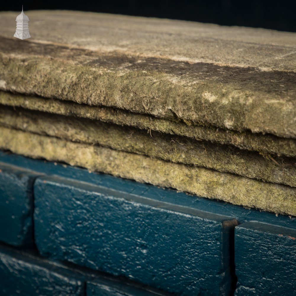 Once-weathered Stone Coping - A Run of 17 Metres