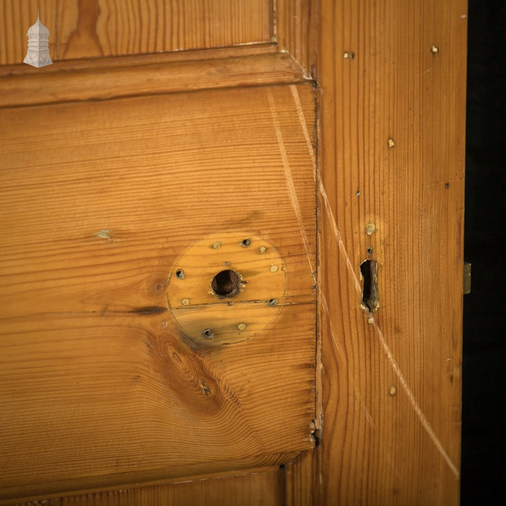 Paneled Pine Doors, Pair of 9 Panel Doors