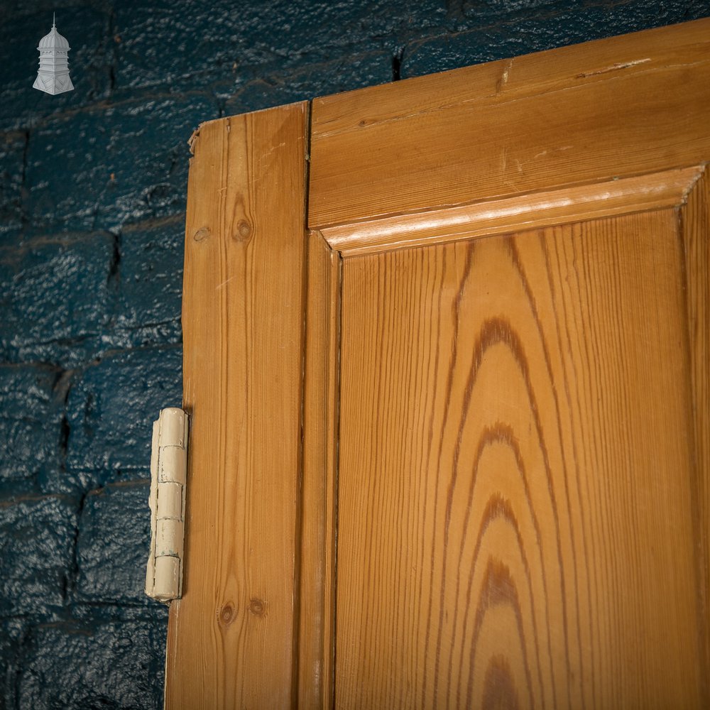 Paneled Pine Doors, Pair of 9 Panel Doors