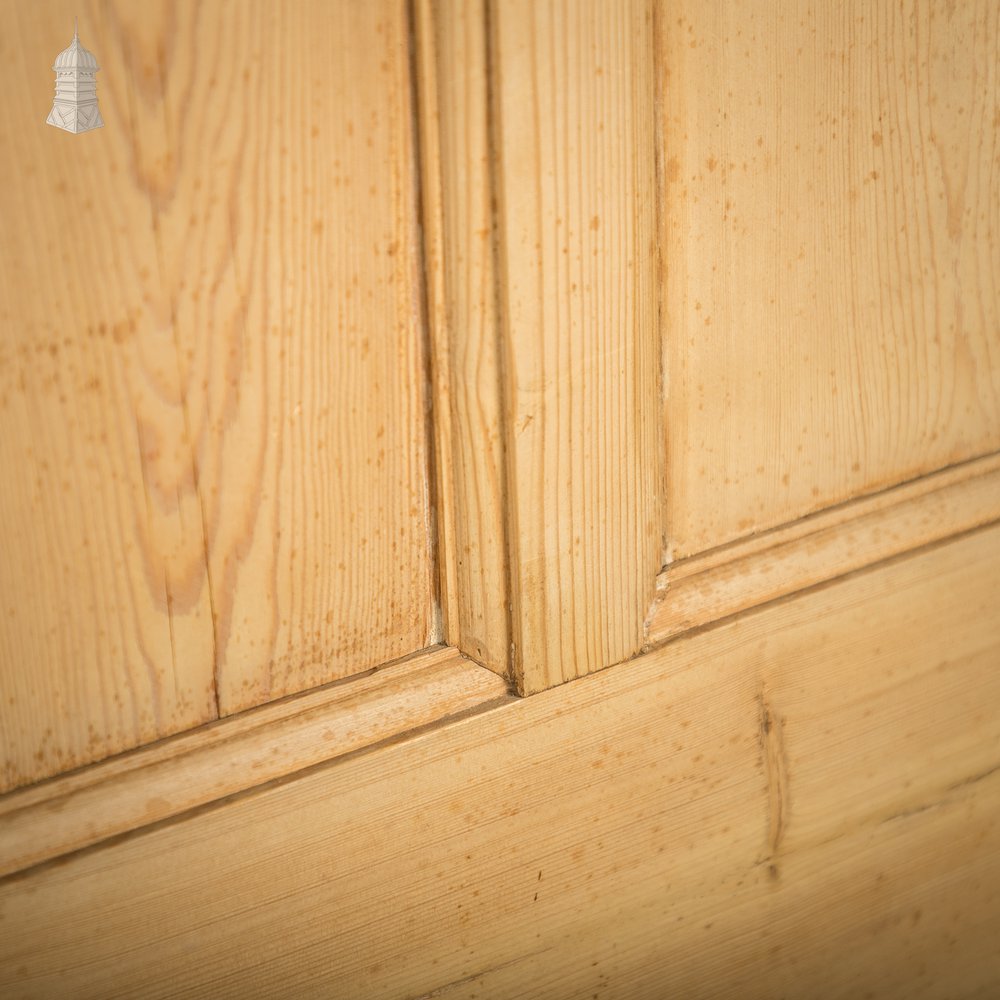 Paneled Pine Doors, Pair of 9 Panel Doors