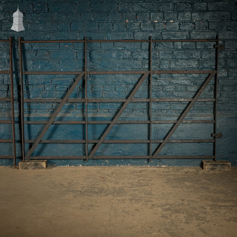 Estate Railings and Gate Set, Reclaimed Wrought Iron Fencing Panels