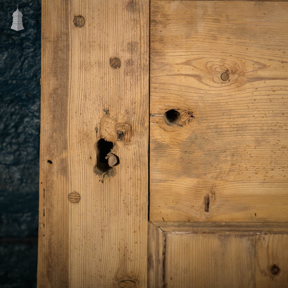 Victorian Paneled Door, 2 Panel