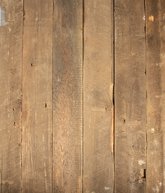 IMG_5875.jpg