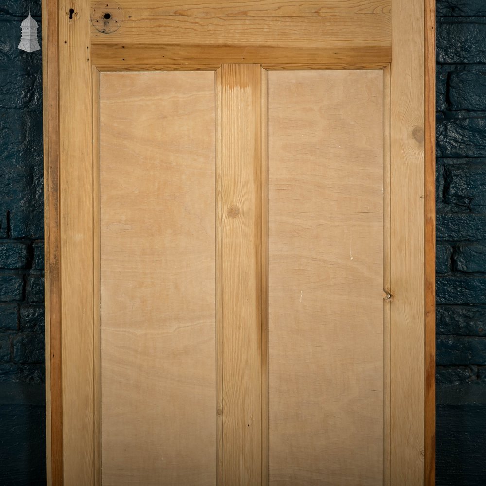 Pine Paneled Door, Moulded 3 Panel