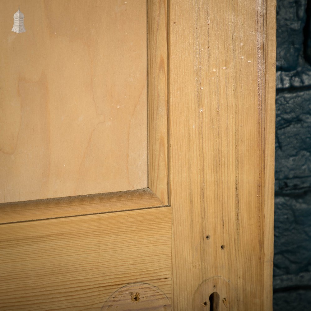 Pine Paneled Door, Moulded 3 Panel