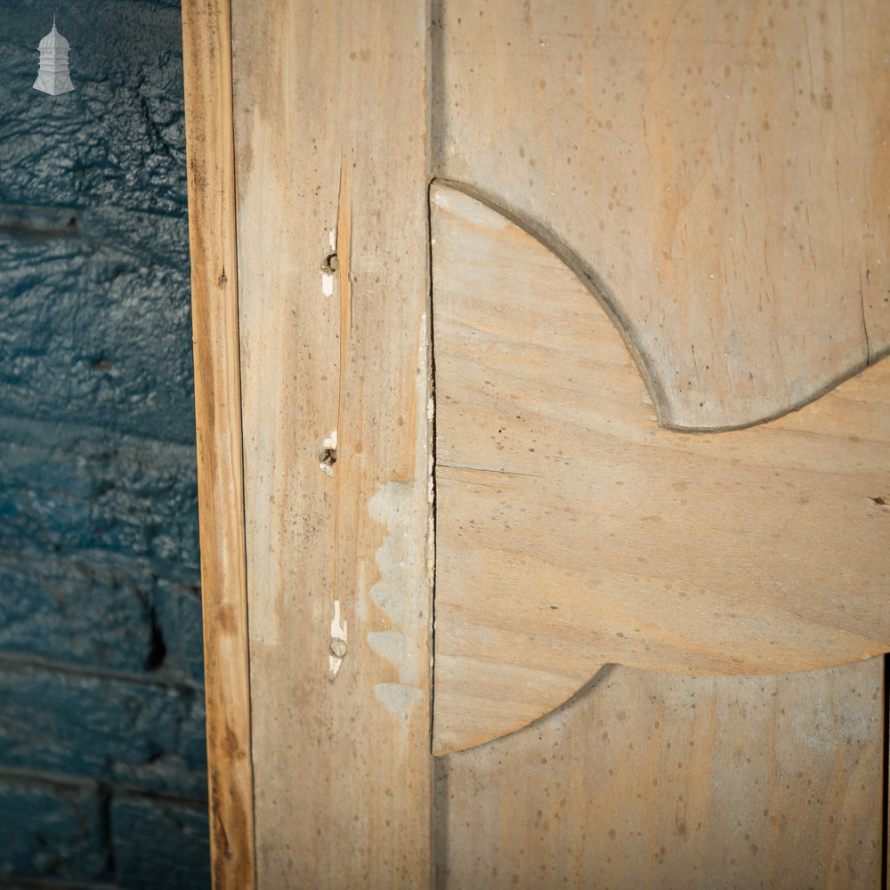 Pine Panelled Door, 19th C French, 2 Moulded Panels