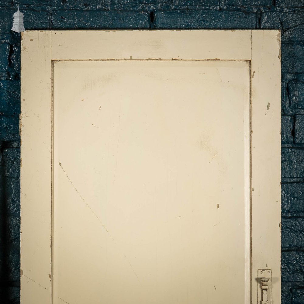 Pine Panelled Doors, Pair of Victorian 2 Panel Cupboard Doors