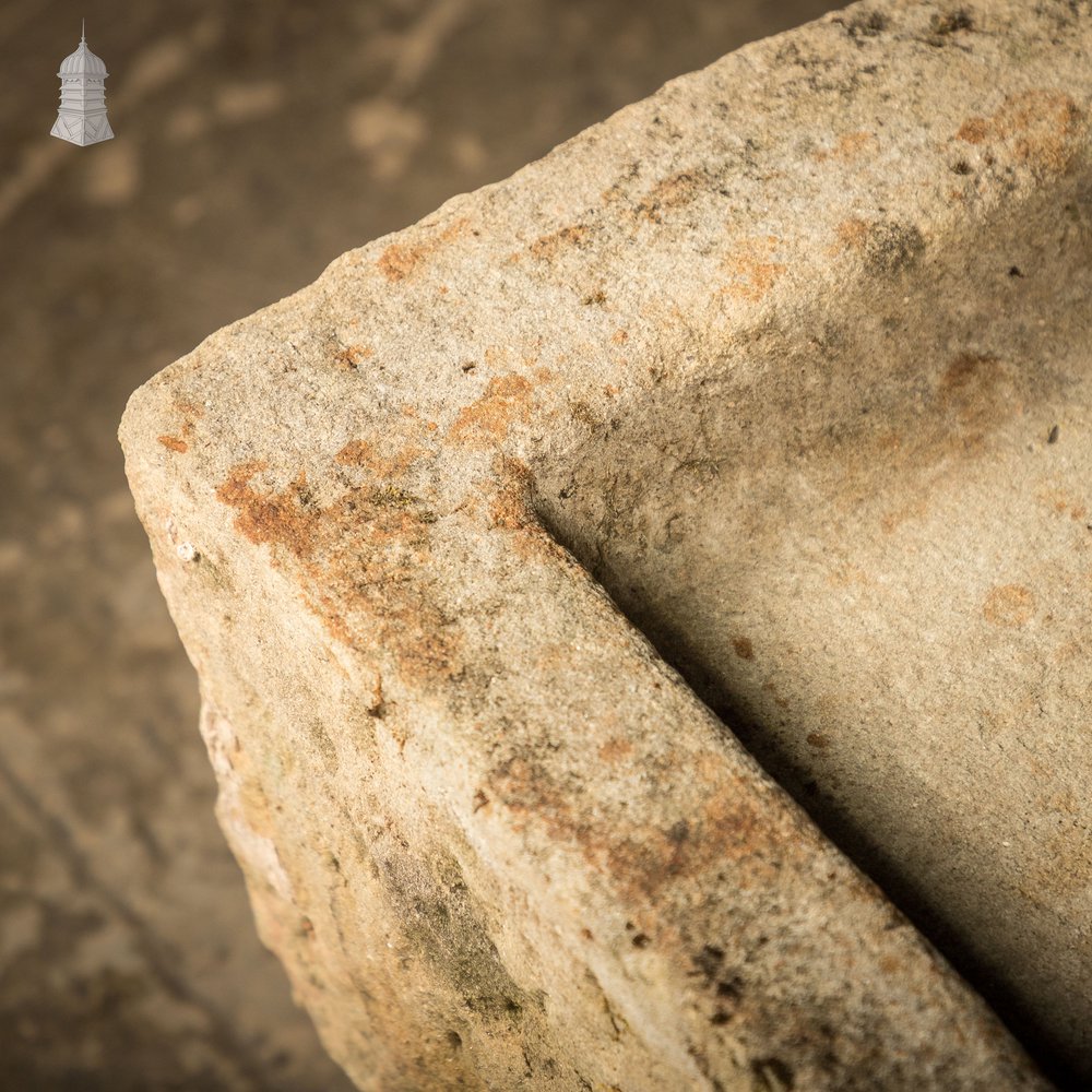 Long Shallow Stone Trough