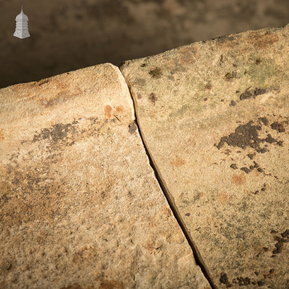 Long Shallow Stone Trough
