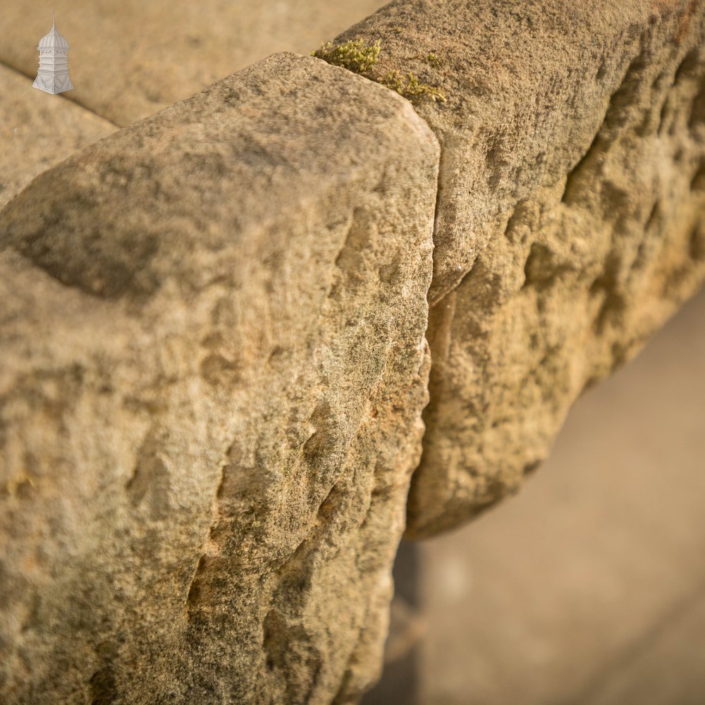 Long Shallow Stone Trough
