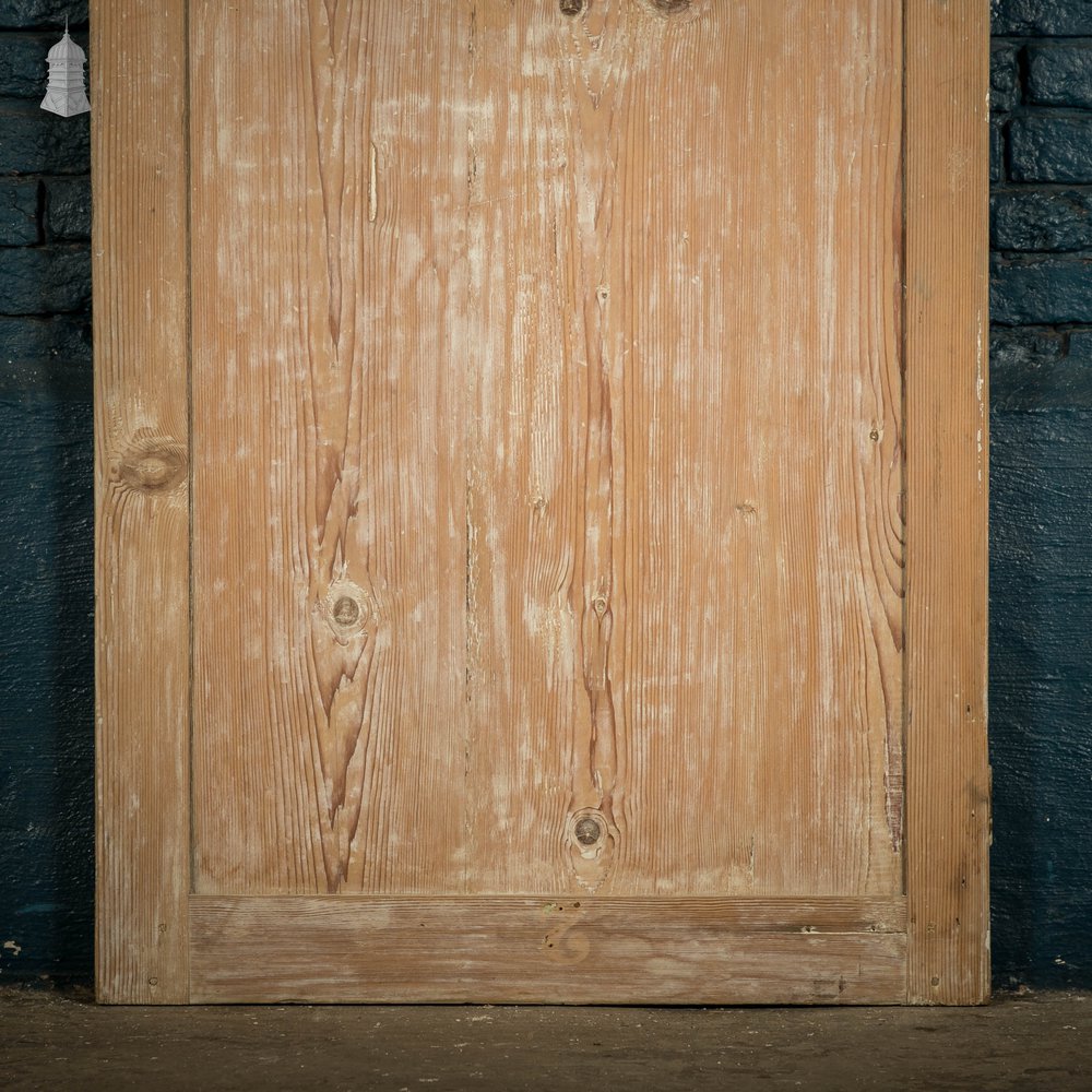 Pine Paneled Door, 2 Panel