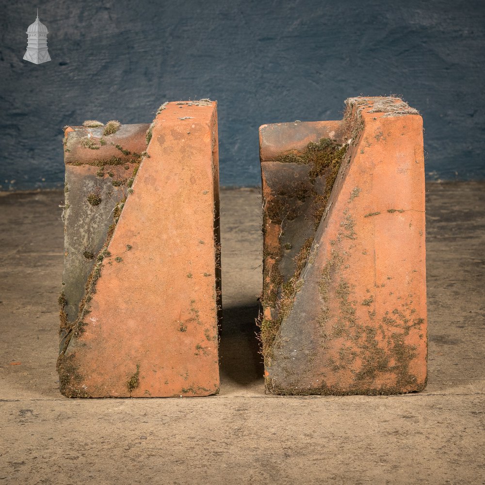 Parapet Coping Bricks, Decorative Rose Detail, 19th C Weathered Red Clay, Pair