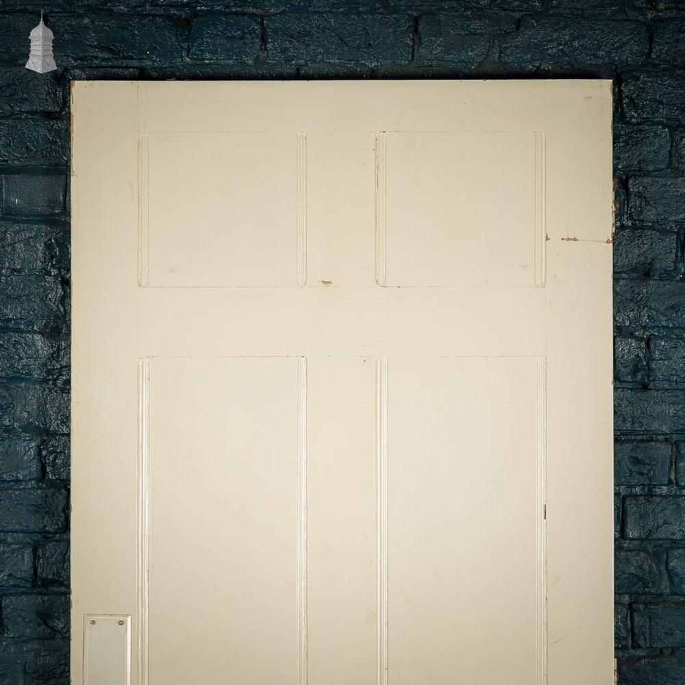 Pine Paneled Door, 6 Panel White Painted