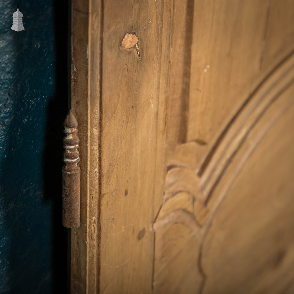 French Teak Moulded Cupboard Door