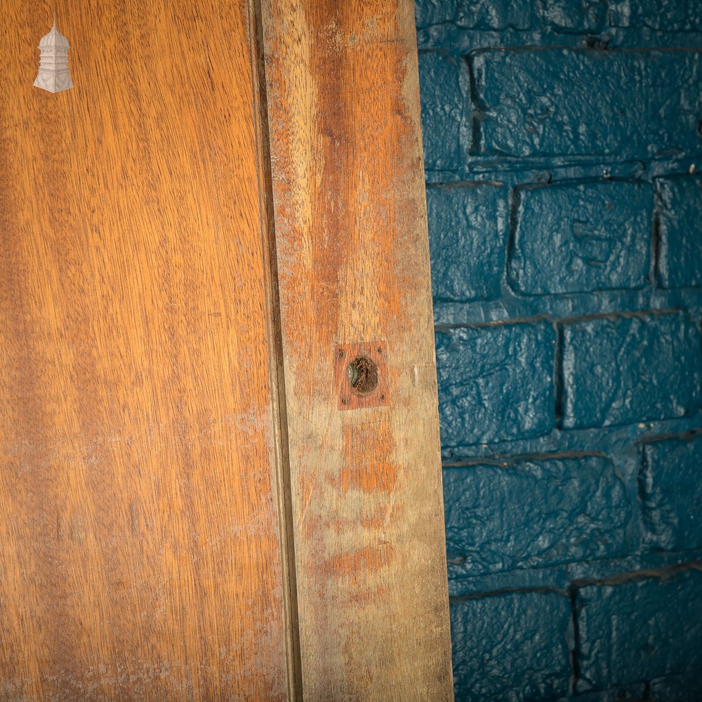 Wide Hardwood Door, Two Panel Mahogany, Early 20th C